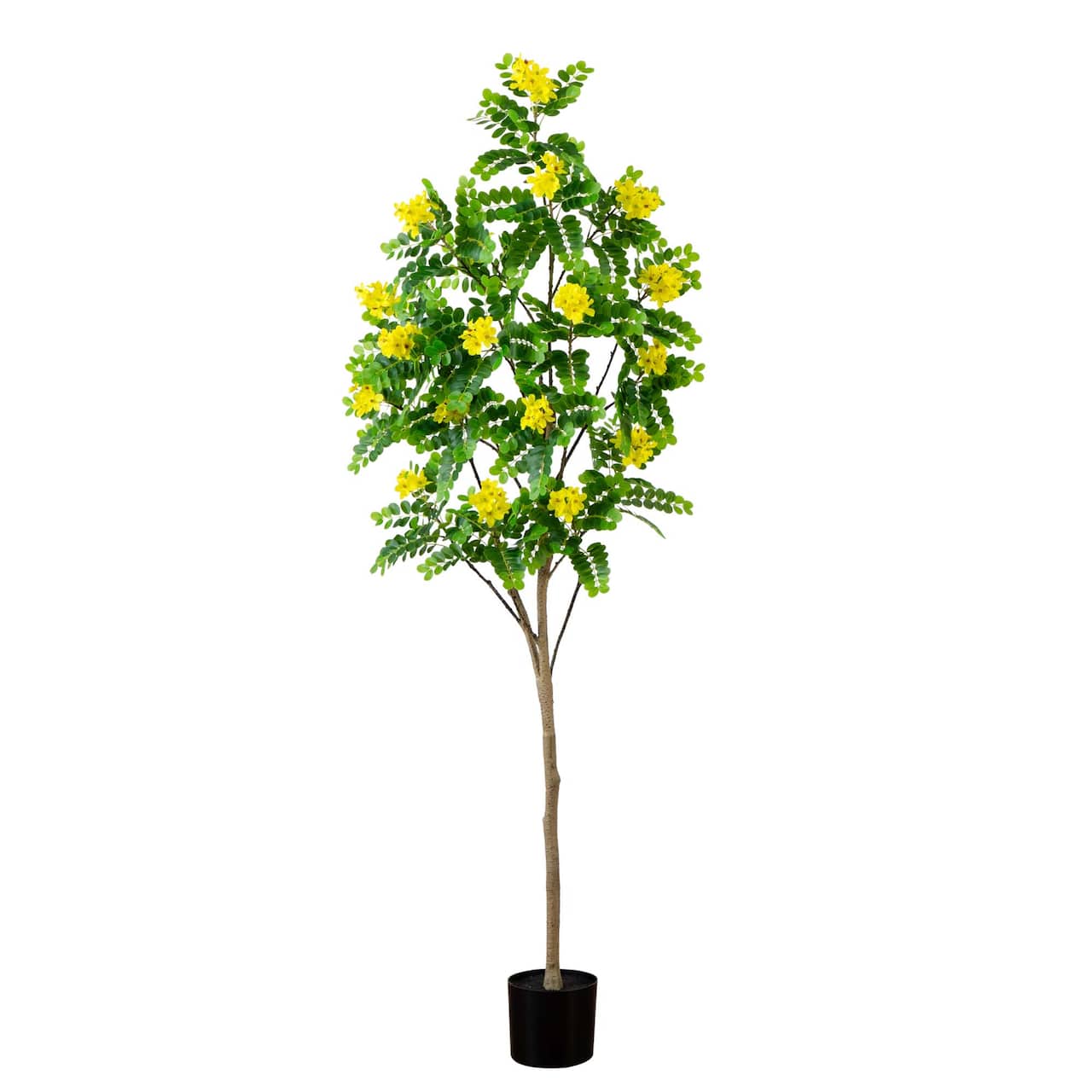 6ft. Potted Flowering Citrus Tree with Real Touch Leaves